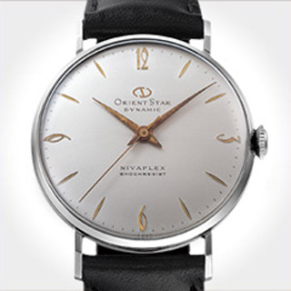 Olympia Calendar Diver